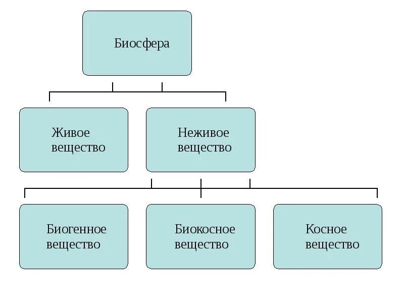 Биосфера и ее структура. Вещества биосферы схема. структура биосферы по вернадскому схема. биогенное вещество косное вещество биокосное вещество. информационная функция биосферы.