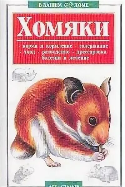 Хомяк с книгой. Книга хомячки домашние любимцы. Книги про хомяков. Домашние любимцы, хомячки, книжка.. Книга хомячки