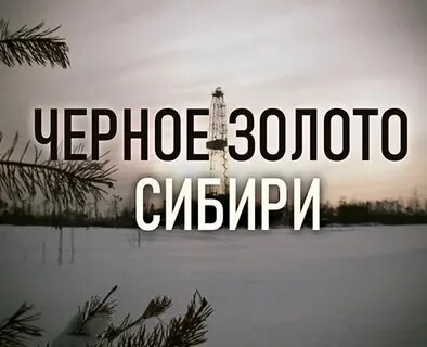 Черное золото сибири