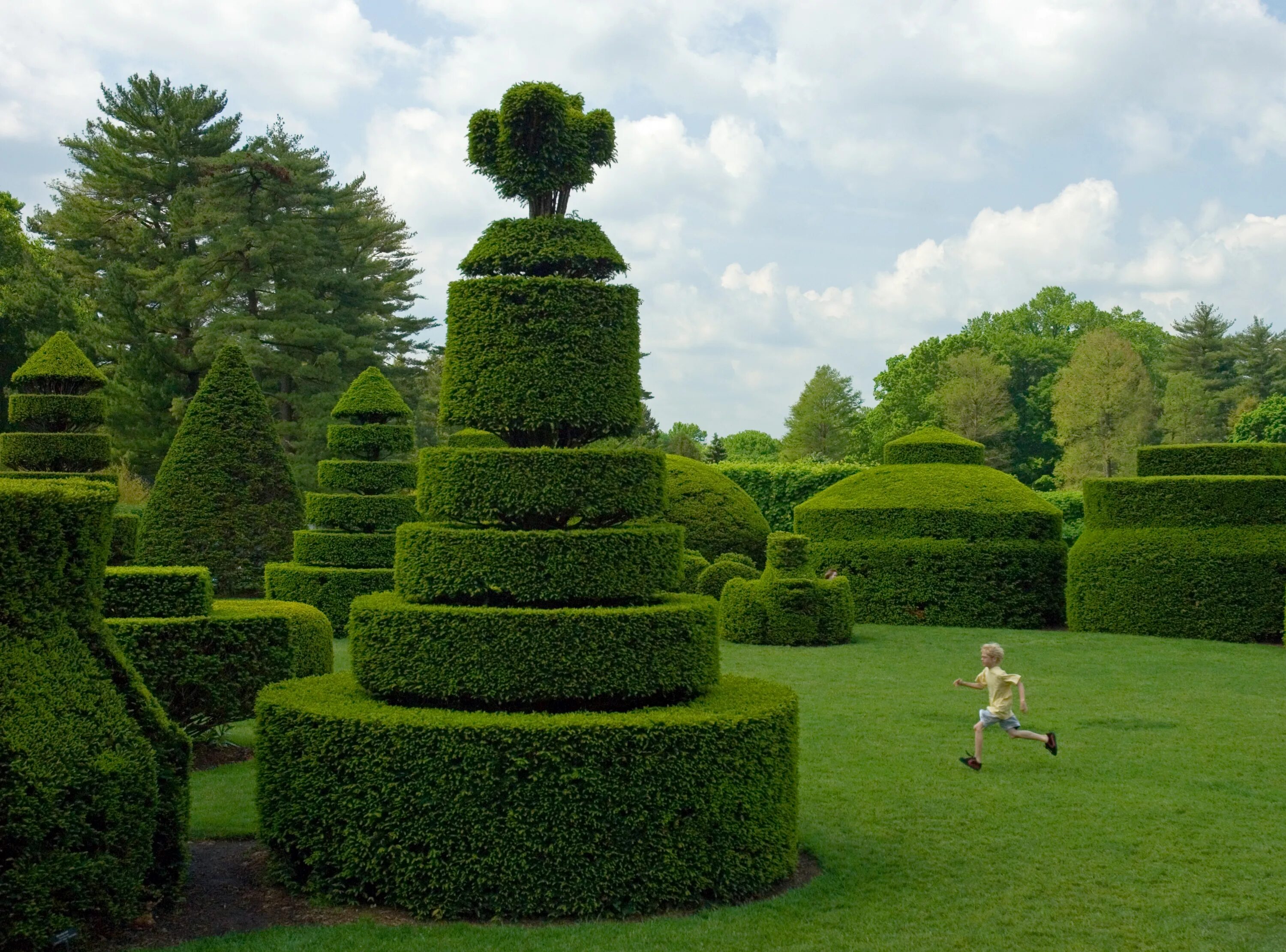 зелёный дракон топиарные фигуры. топиарный сад харви ладью. сад живых людей. версаль топиар. сад живых людей.