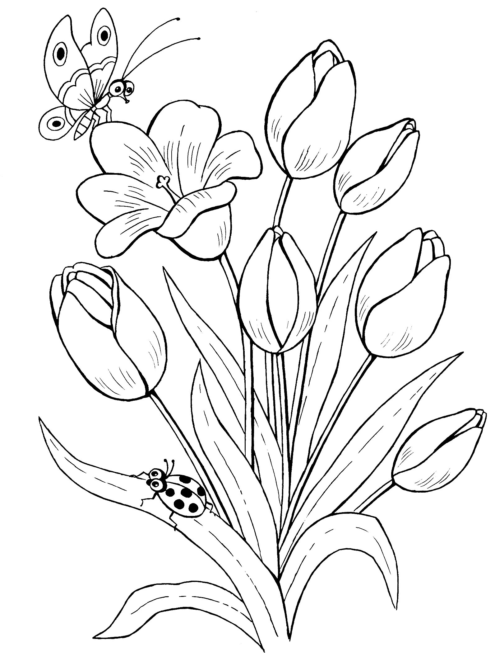 Rose Garden Coloring Pages Rose coloring pages, Flower coloring pages, Mandala c