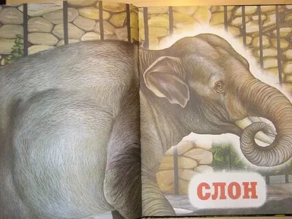 Слон стих 3 класс