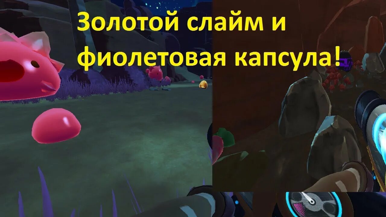 Slime Rancher капсулы. Slime Rancher карта сокровищниц. Фиолетовые сокровищницы в СЛАЙМ ранчер. Фиолетовые капсулы в СЛАЙМ ранчер. Слаймы сокровища