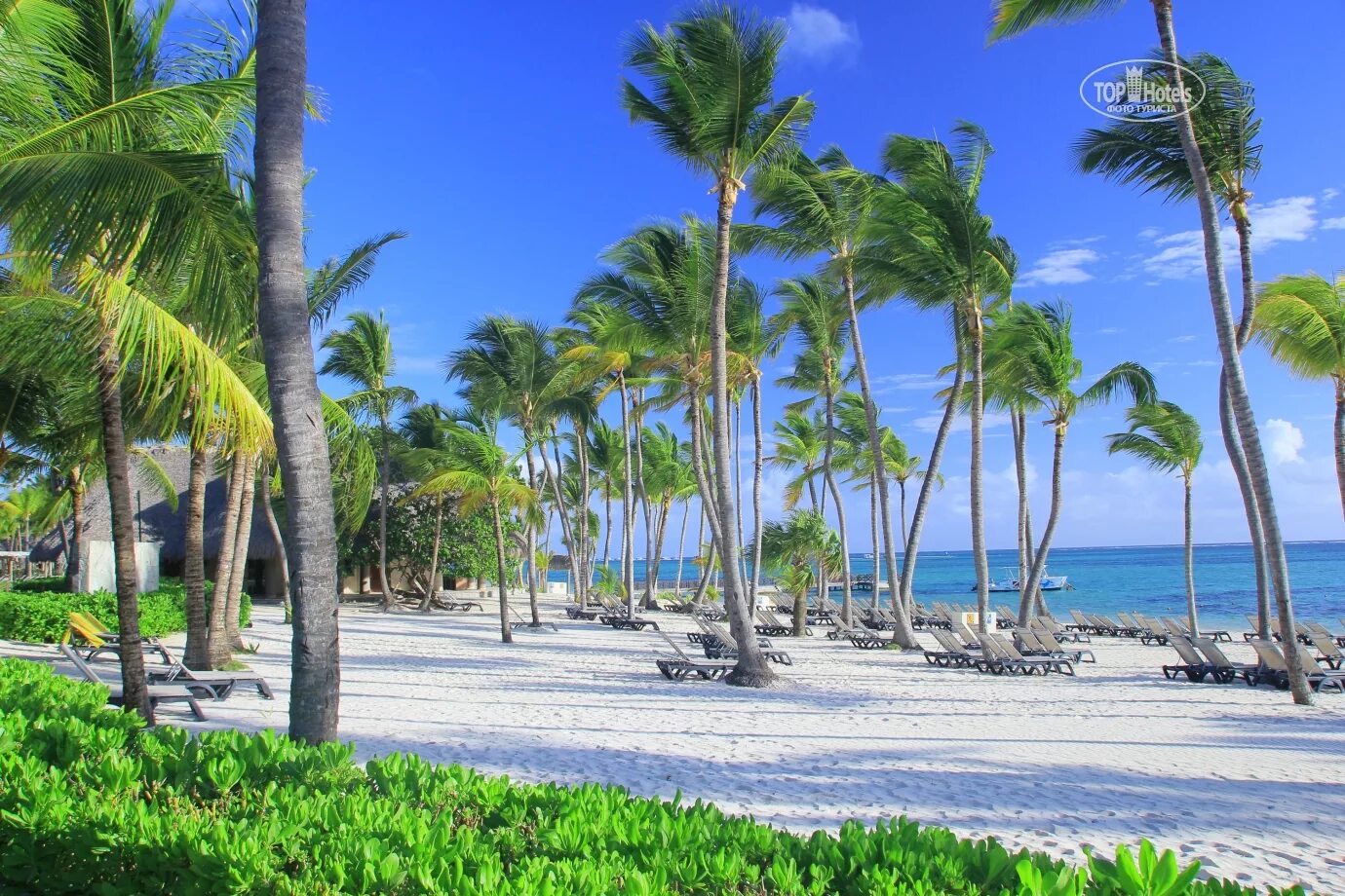 Barcelo bavaro palace. Барсело баваро палас доминикана. барсело баваро делюкс доминикана. barcelo bavaro palace 5 пунта кана. барсело баваро палас делюкс 5 доминикана.