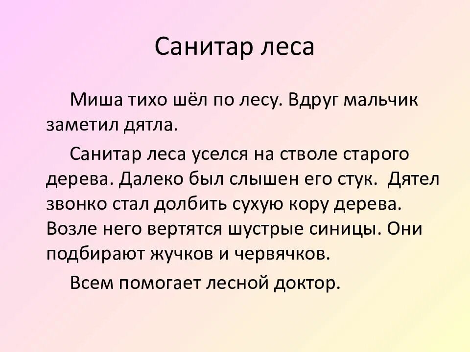 Миша тихо шел по лесу вдруг Миша заметил дятла. Миша тихо шел по лесу вдруг Миша заметил дятла отредактировать. Санитар леса Миша тихо шел по лесу. Миша тихо шел по лесу вдруг Миша заметил дятла отредактировать текст. Почему мальчик вдруг