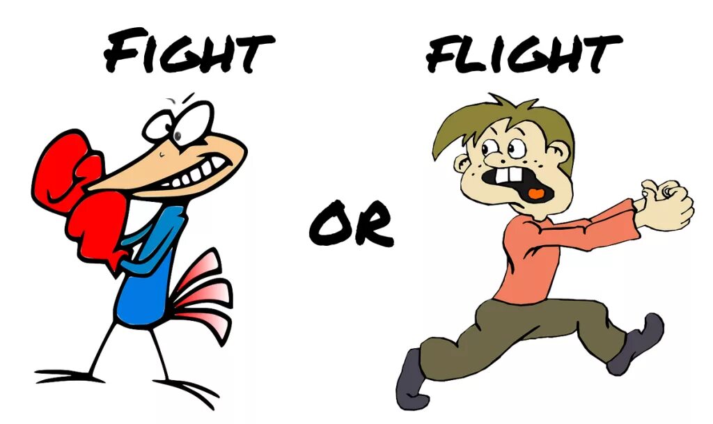 Flight response. Fight or flight. fight or flight response. замри стресс.