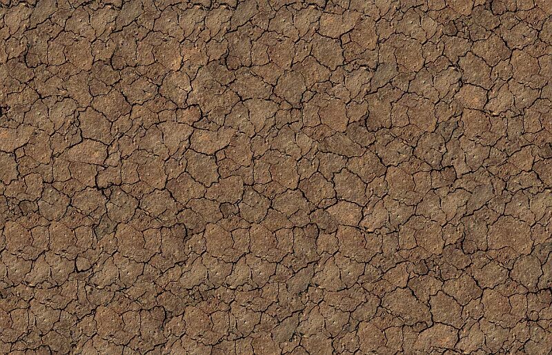 Texture 2