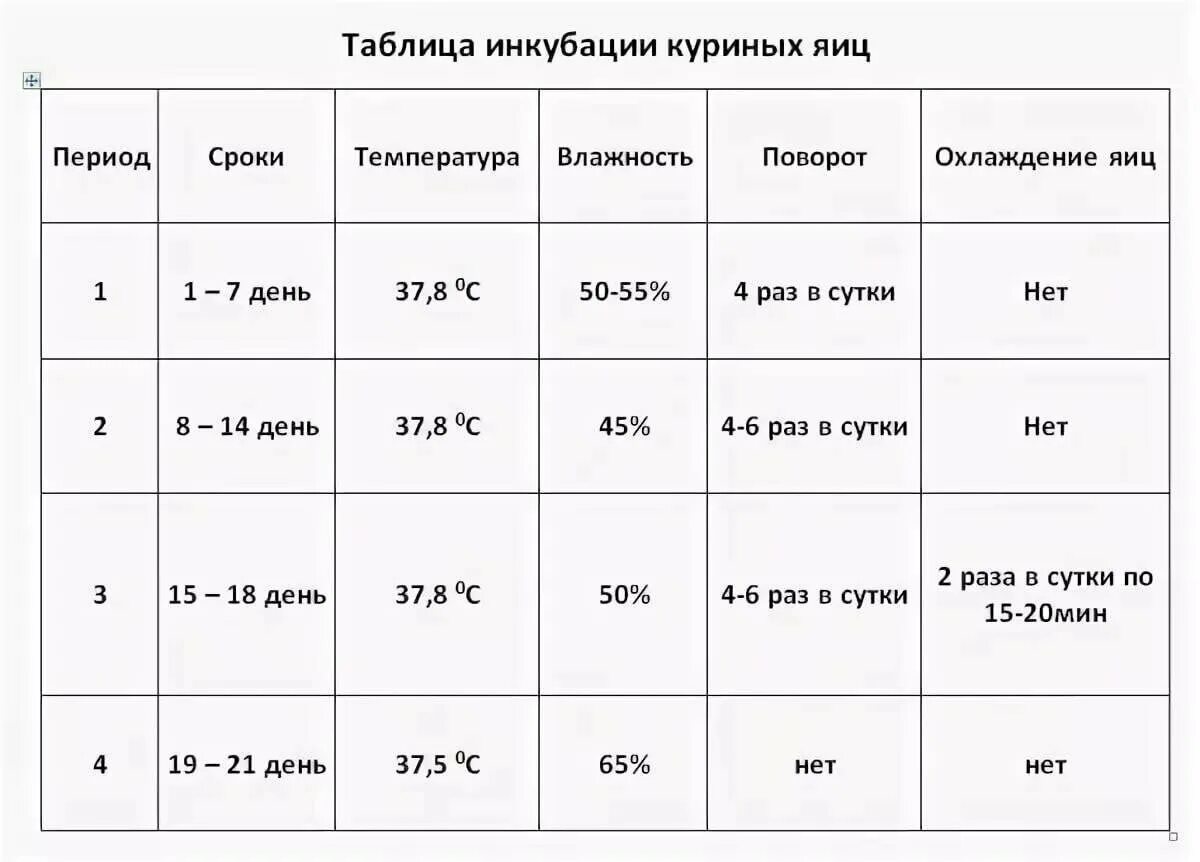 Как правильно закладывать яйца в инкубатор куриные. Режим инкубации куриных яиц в инкубаторе таблица. Инкубация куриных яиц несушек таблица. Температура в инкубаторе для куриных яиц таблица. Схема инкубации куриных яиц в инкубаторе Несушка.