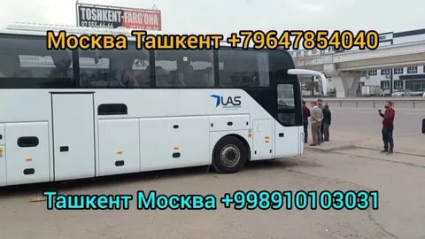 Краснодар ташкент