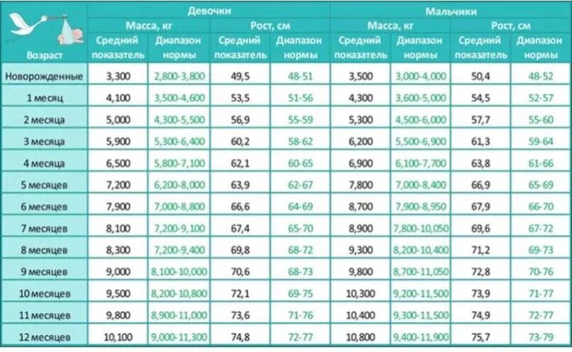 2020 сколько лет ребенку. Вес и рост ребенка по месяцам таблица девочки до года норма. Норма веса и роста у детей до 1 года таблица. Рост вес таблица для детей до 1 года мальчики. Таблица веса ребенка до года по месяцам норма.