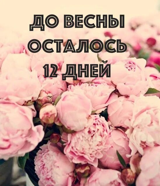 Сколько до весны 2024 года. До весны осталось. 12 Дней до весны. До весны осталось 4 понедельника. До весны осталось 28 дней.