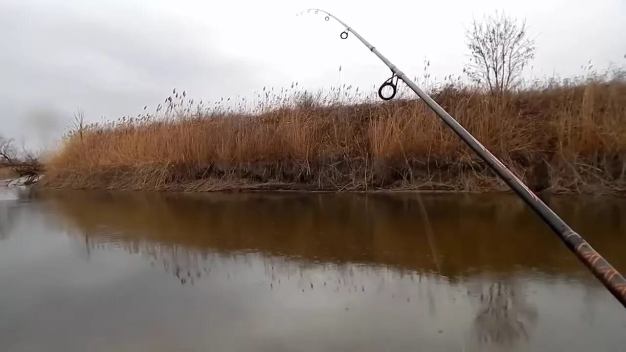 Рыбалка каменск