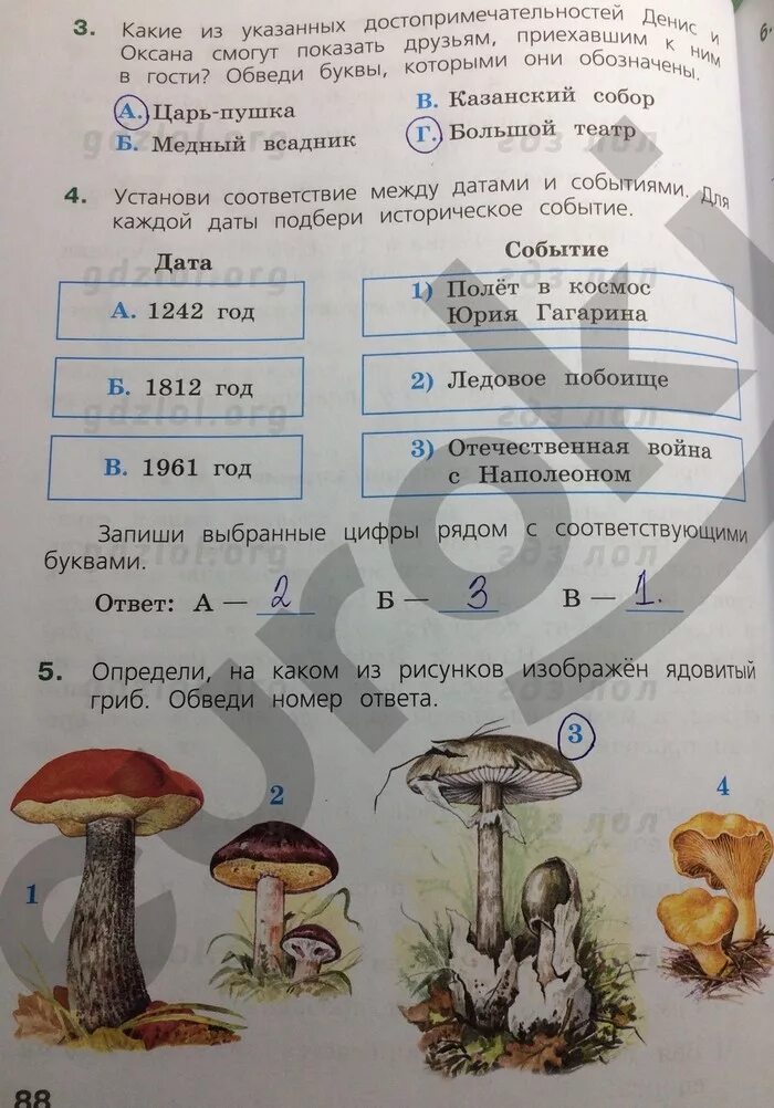 Тест по окр миру впр 4 класс