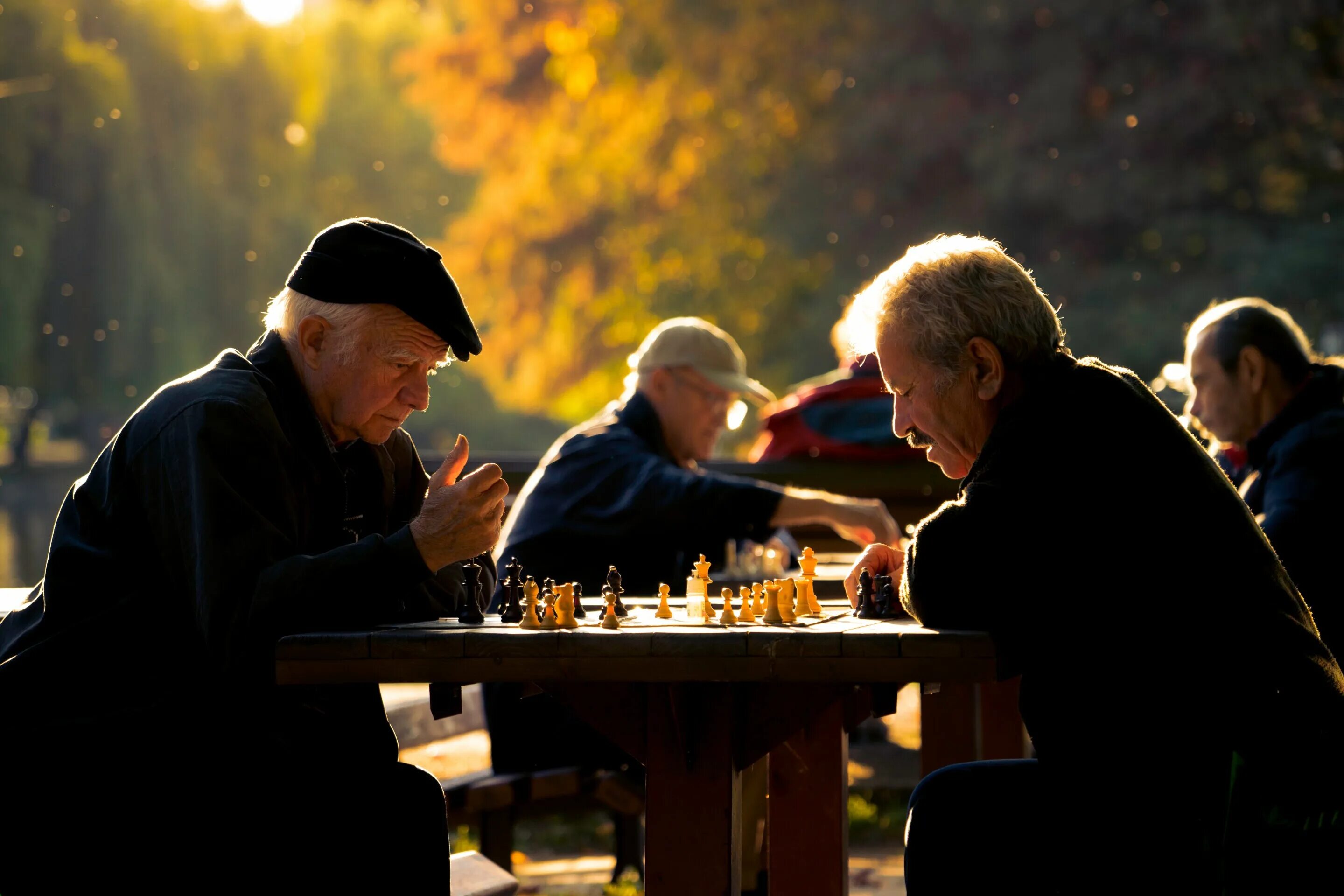 Старики играют в шахматы. Шахматы пенсионеры. Пенсионеры играют в шахматы. Игра в шахматы пожилых. Мужчины играют в шахматы