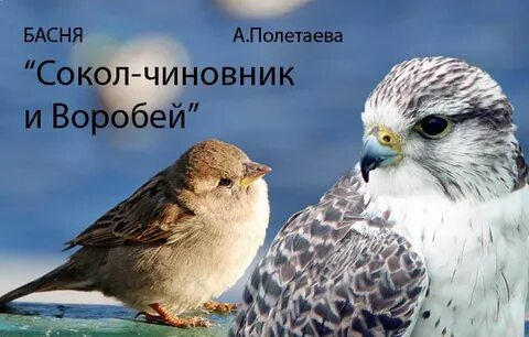 Басня воробей