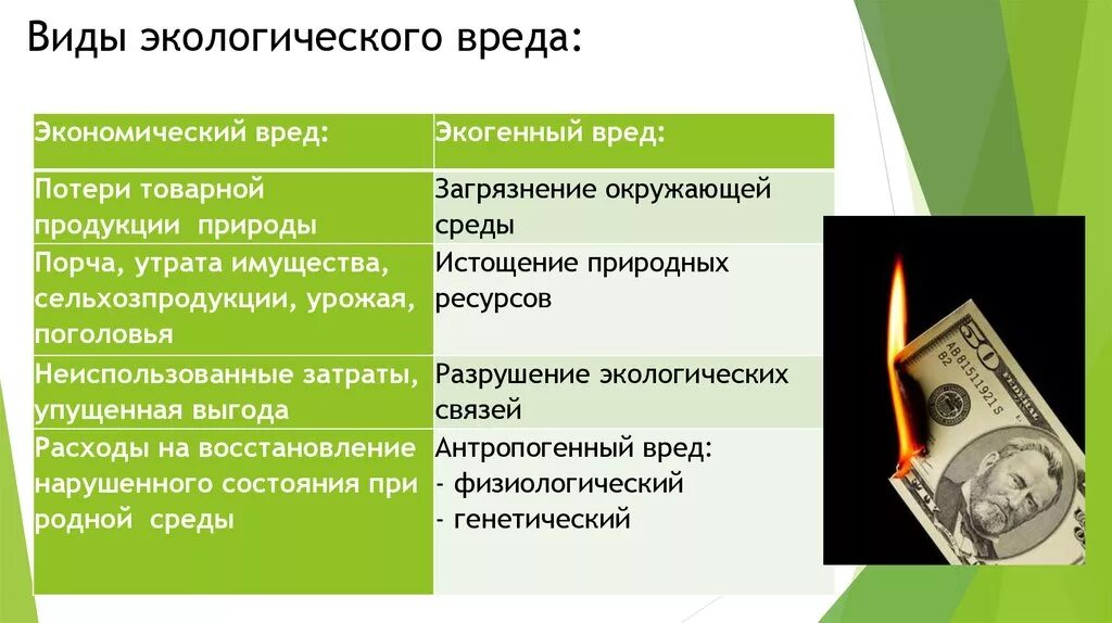 Виды экологического вреда. Понятие и виды экологического вреда. Виды экологического ущерба. Понятие и виды вреда окружающей среде. Причинение экологического вреда