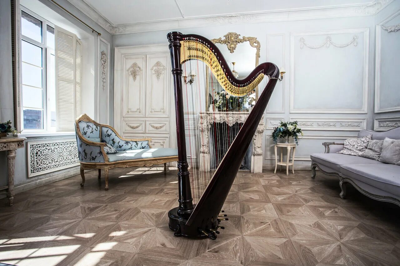 Resonance harps rhc21g002. катерина бабочкина арфа. Resonance harps полюстровский просп 72б отзывы. Resonance harps полюстровский просп 72б отзывы. Resonance harps полюстровский просп 72б отзывы.