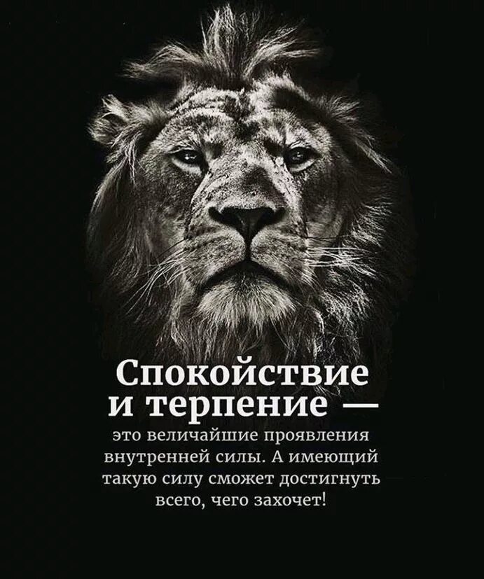 Силен спокоен и. Спокойствие цитаты. Афоризмы про спокойствие. Терпение цитаты. Афоризмы про терпение.