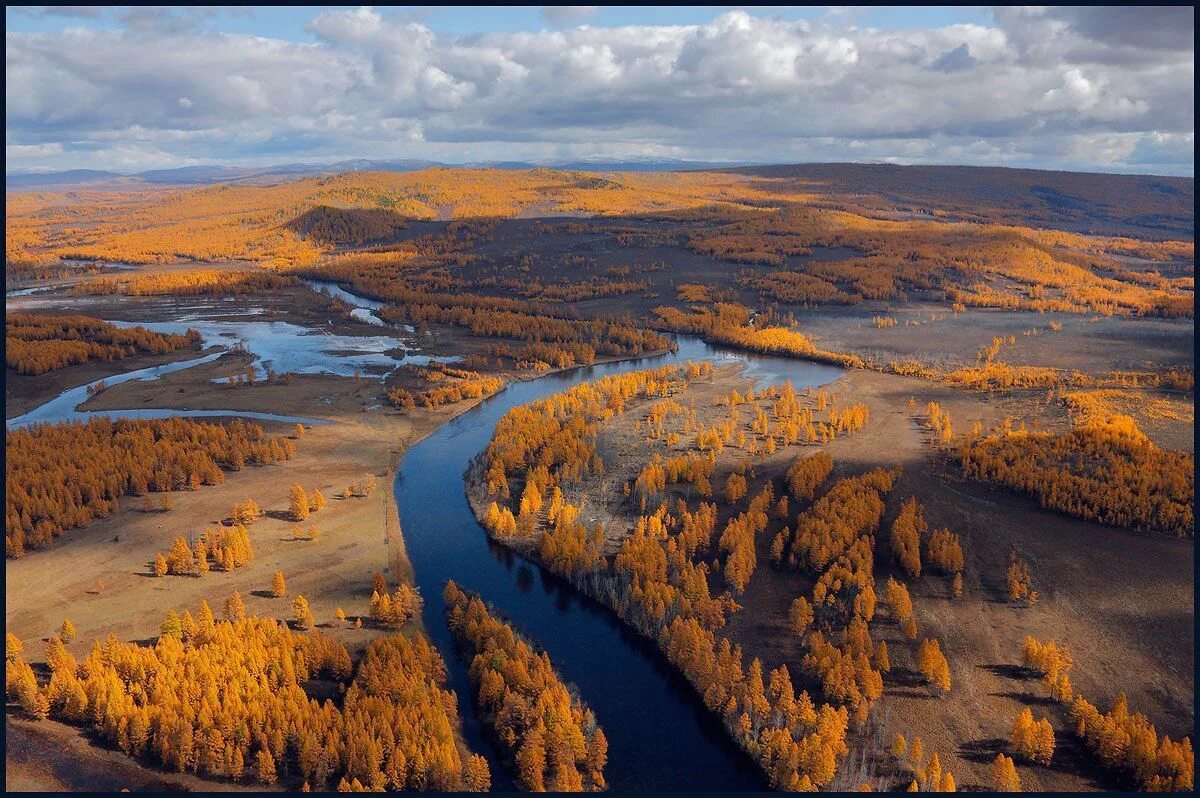 Реки северо восточной сибири. Река Каренга Забайкальский край. Река Витим в Забайкальском крае. Природа Забайкальского края Витим. Витим (река) Витим.