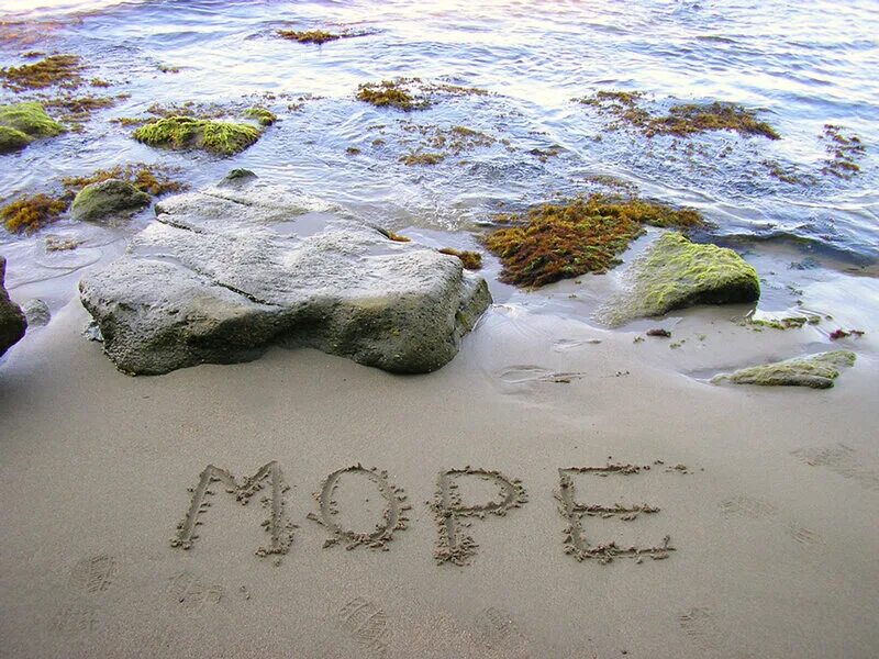 Море закончилась. Море закончилась. Под морем. Картинки океана красивые. Собака на пляже.