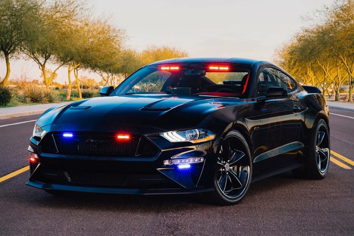 Форд мустанг 2015. Форд мустанг 2005. Форд мустанг gt 2015. Форд мустанг 2017. Ford shelby gt500.