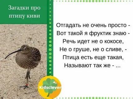 Какая птица носит название фрукта