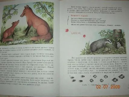 Соловей сколько страниц