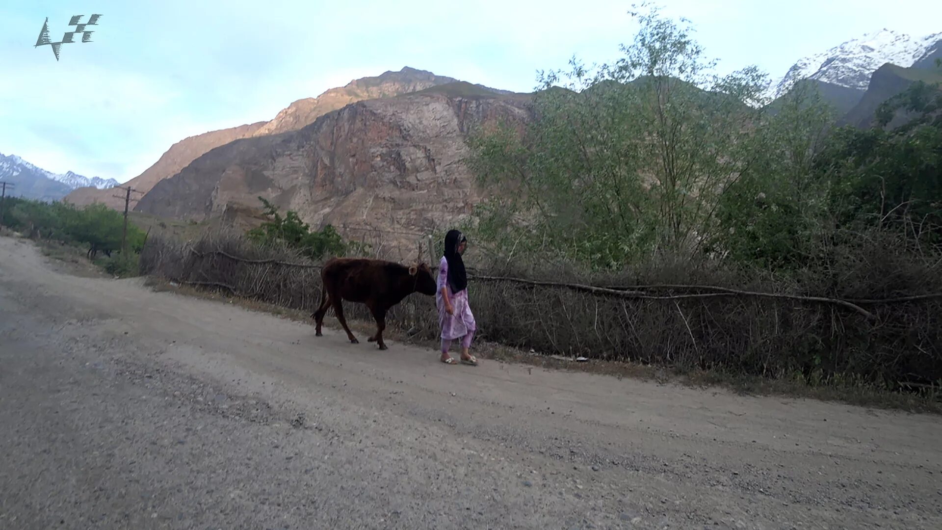 Кишлак Поймазор. Ванч Таджикистан. Ванч Поймазор. Поймазор Таджикистан.