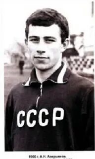 Николаевич футболист
