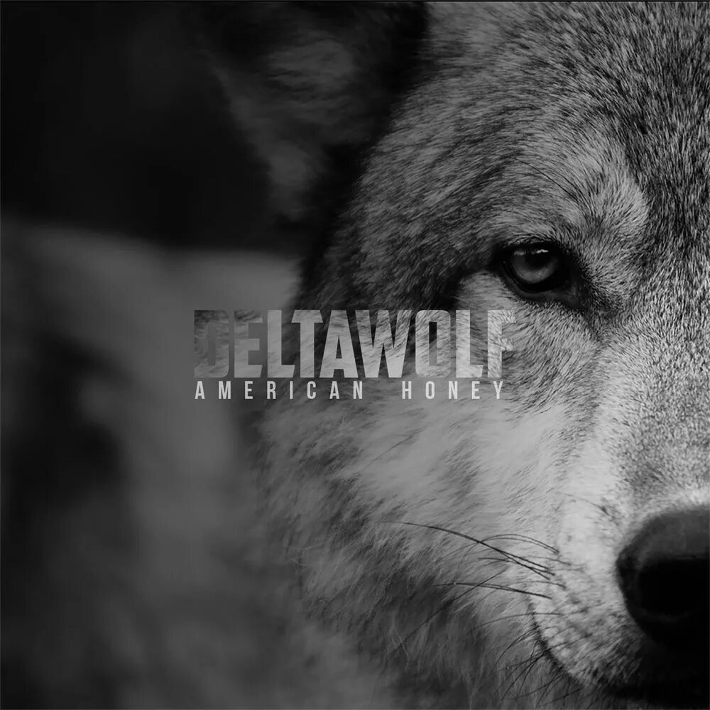 Слушать волк 1. Delta Wolf. Альбом American Wolves. Волк альбом старые. Волки песня.