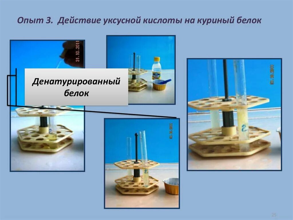 Опыт с куриным белком. Денатурация белка под воздействием уксусной кислоты. Белок уксусная кислота. Действие уксусной кислоты на белок.