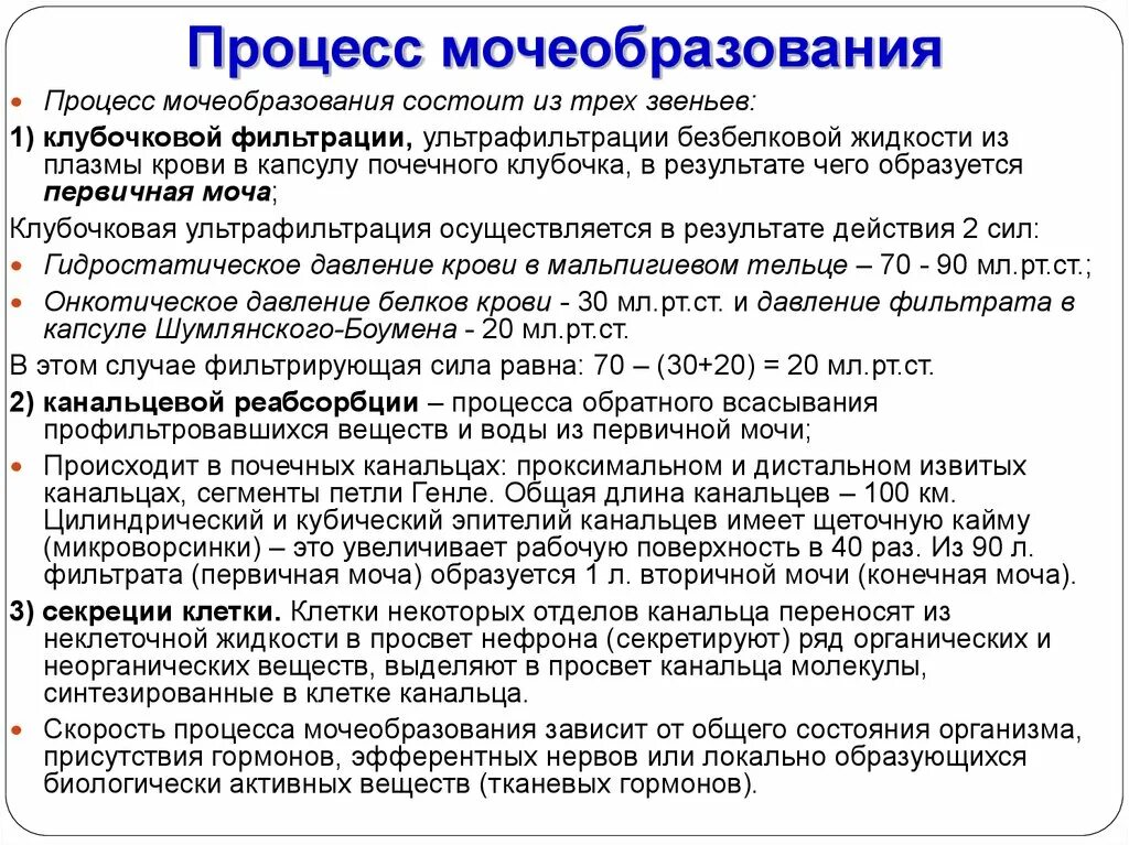 Какие структуры участвуют в образовании мочи. Основные процессы мочеобразования кратко. Функции секреции мочеобразования. Этапы мочеобразования таблица фильтрация реабсорбция секреция. 3 Процесса мочеобразования.