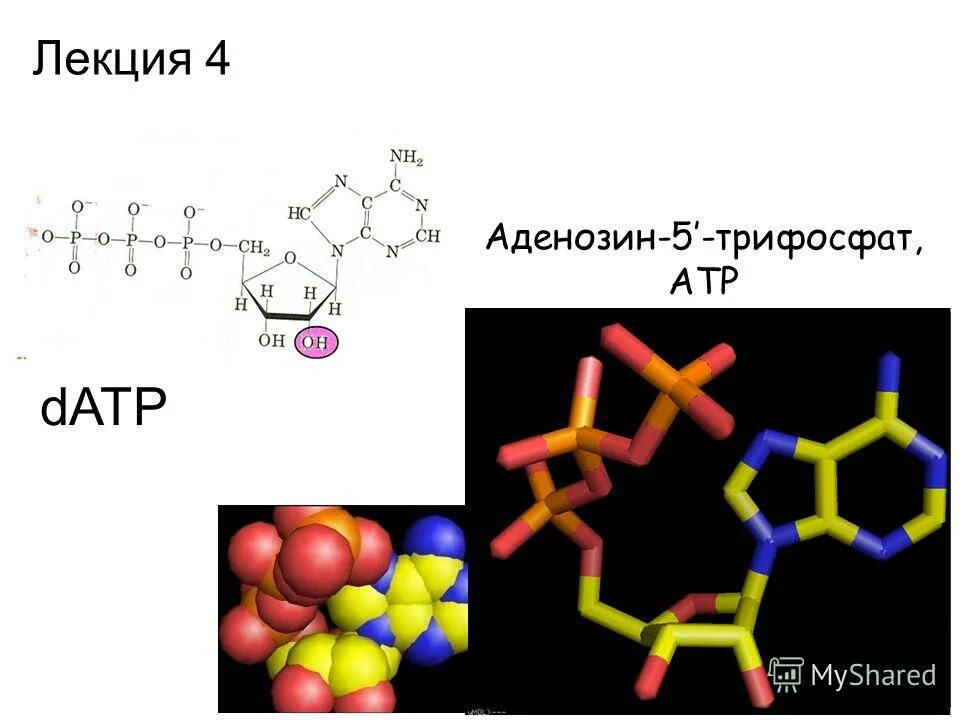 Acid 6