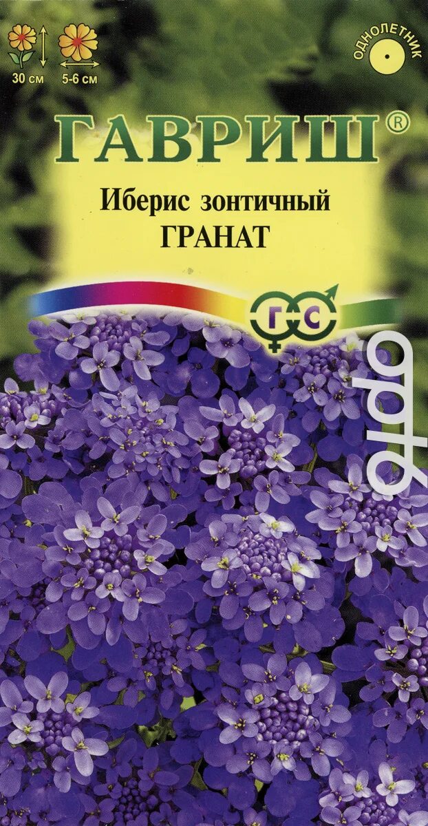 Иберис гранат 0,1г Гавриш. Гавриш.иберис.зонтичный.гранат. Иберис однолетний. Иберис зонтичный гранат, 0,2г. Иберис купить семена