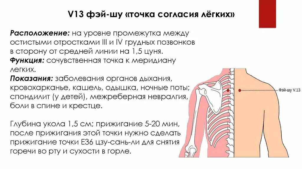 Как отличить межреберную. Фэй Шу 13 точка. Точка v13 расположение. V13 точка акупунктуры. Точка v 13.