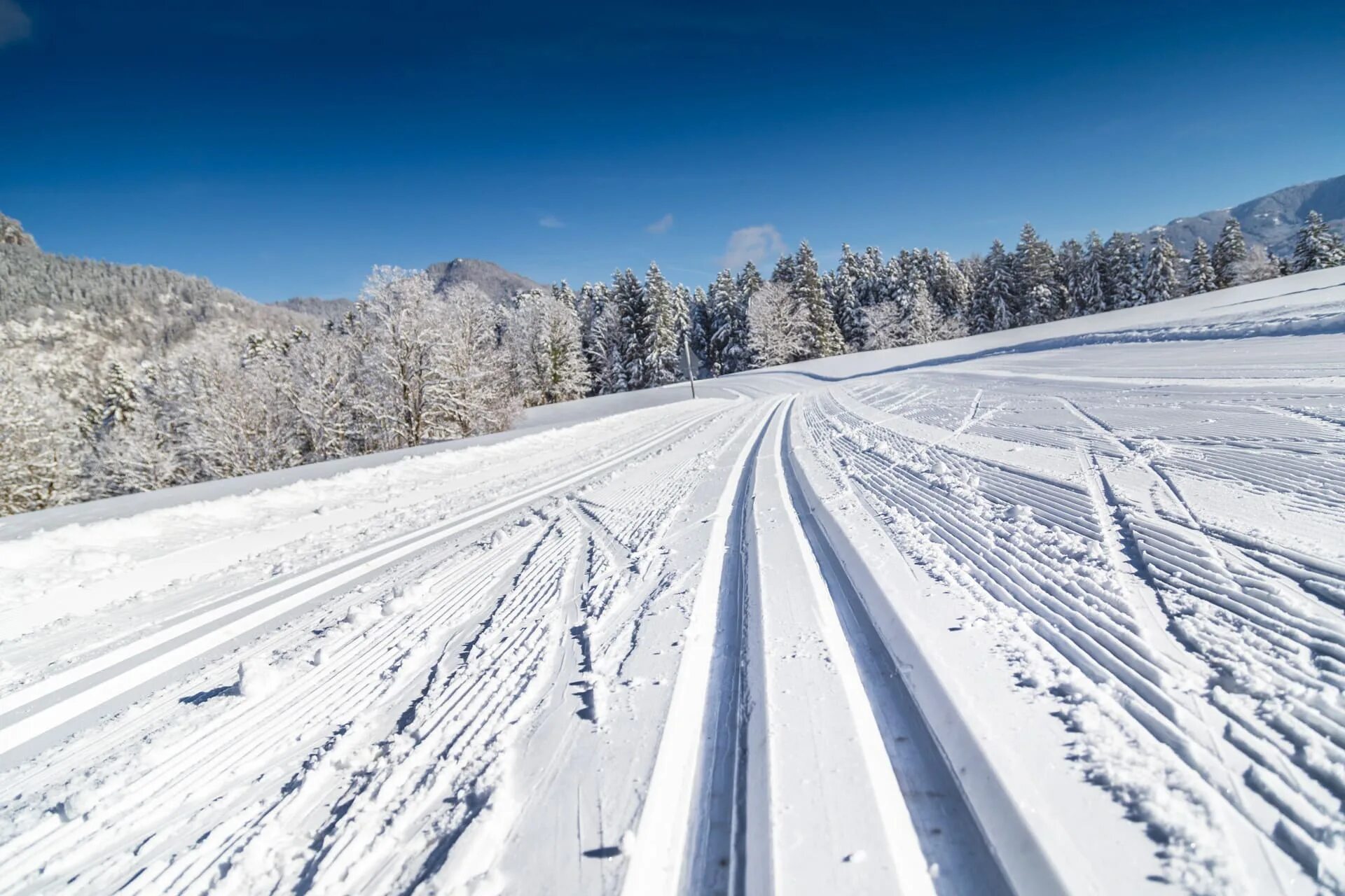 Skiing track. Трассы в Целеево. Целеево горнолыжный курорт. Целеево Лыжня. Целеево зимой.