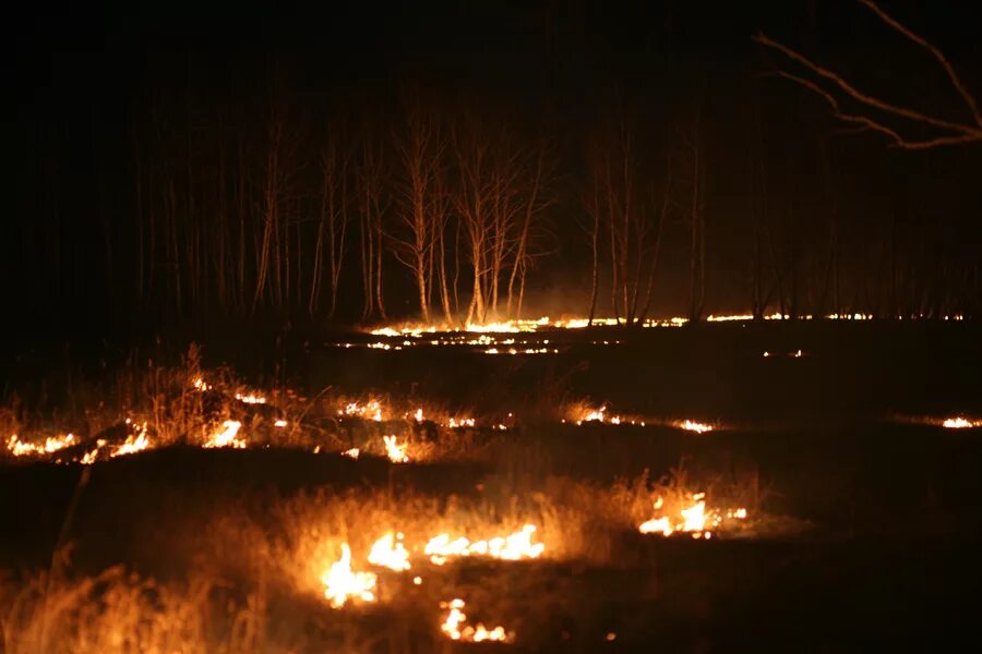 Горящее поле ночью. Пожар в поле. Поле в огне ночью. Сгоревшее поле ночью. Сгорел ночной