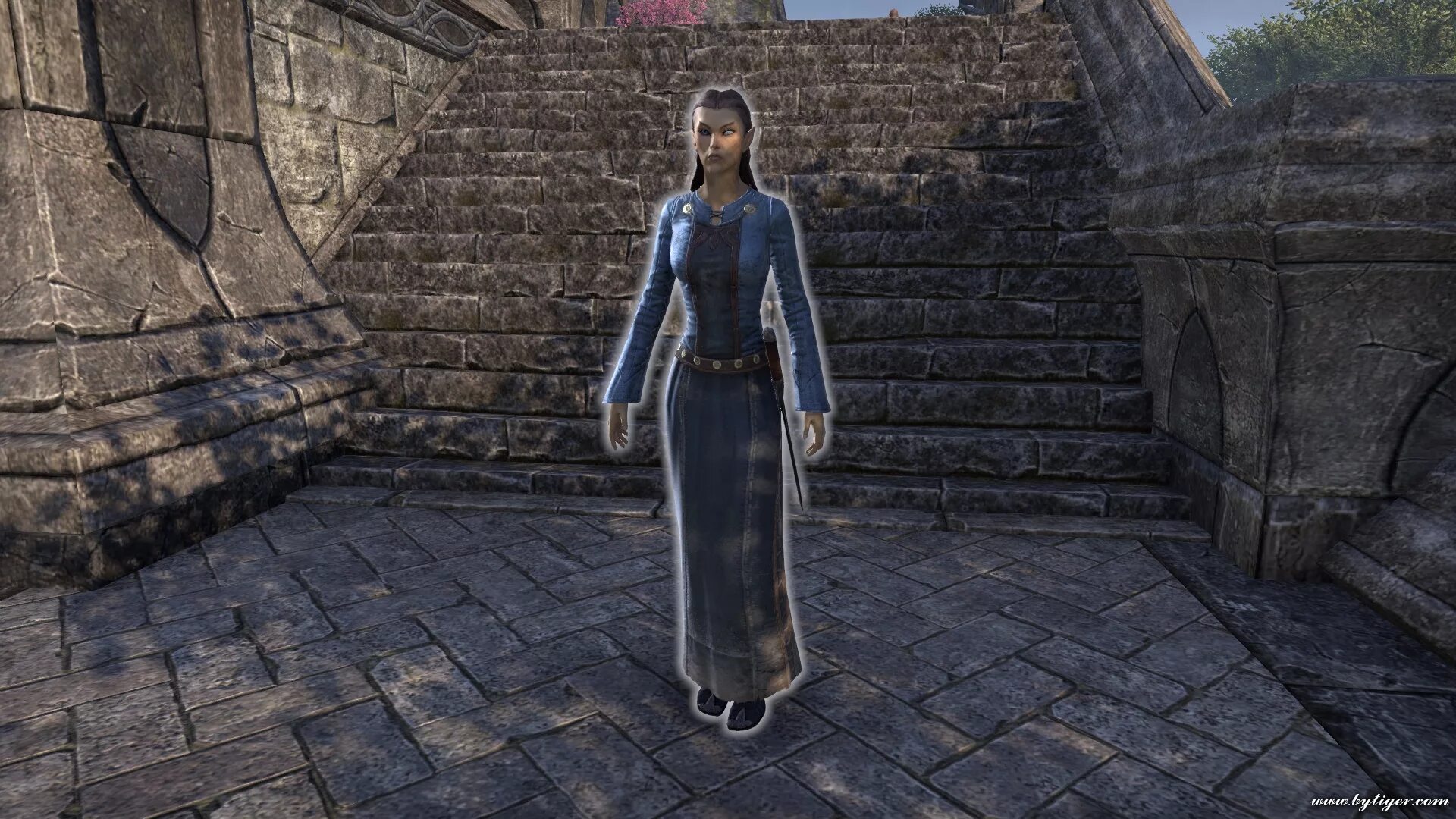 The litany of the elves. Stormhold игра. Teso литания. Teso литания. Daggerfall nightblade.