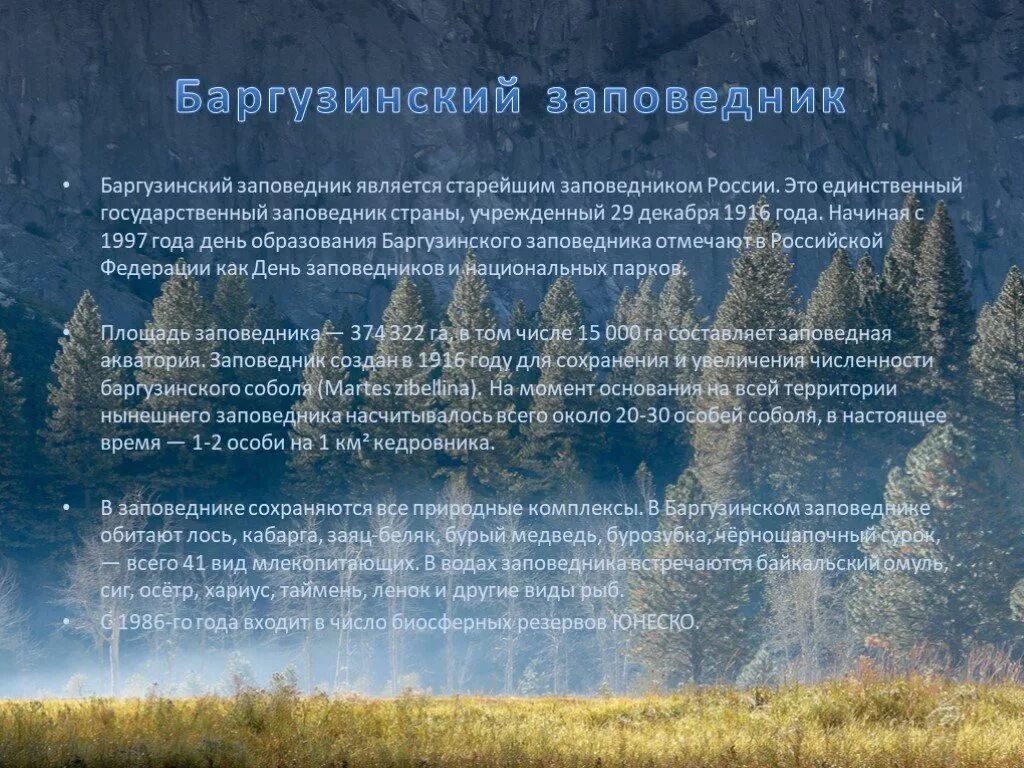 Заповедники россии доклад 8 класс. Заповедники России презентация. Сведения о заповедниках России. Сообщение о заповеднике России. Старый заповедник в России.