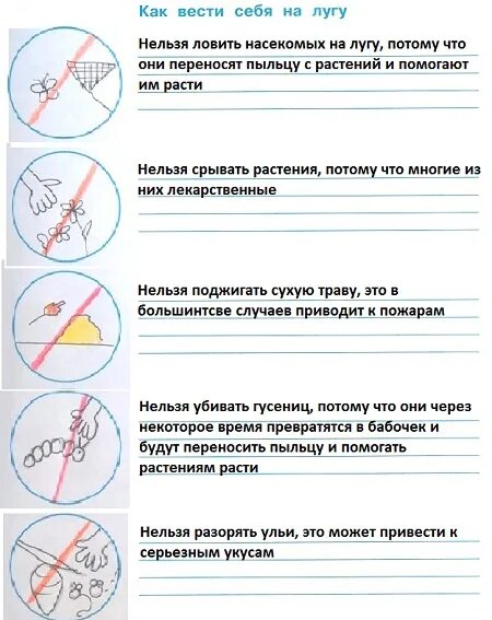 Сформулируйте и напишите правила к условным знакам