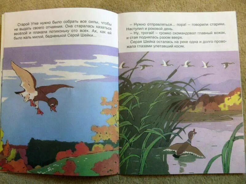 Сочинение по картине серая шейка 3 класс. Сочинение серая шейка. серая шейка 3 класс литературное чтение. мамин сибиряк серая шейка. эссе серая шейка.