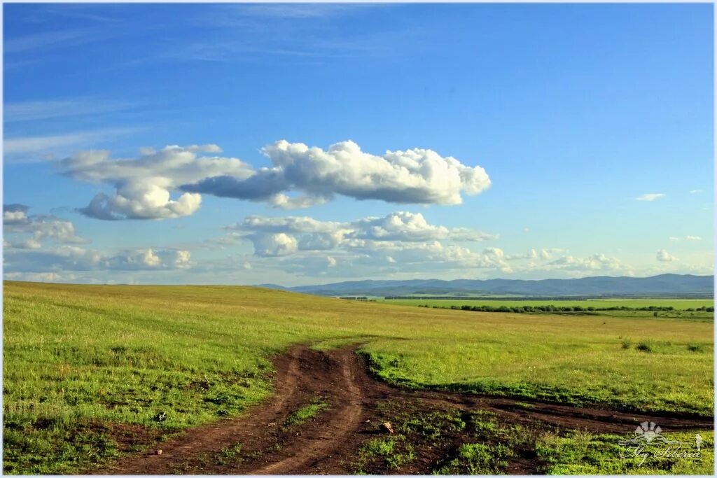 Село скрипачи Шарыповский район Красноярский край. Село Березовское Шарыповский район. Ивановка Шарыповский район. Темра Шарыповский район.