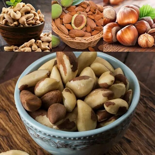 бразильский орех вымачивать. замачиваем бразильский орех. Brazil nut in shell. бразильский орех погрызен. бразильский орех вымачивать.