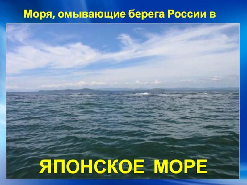 Океан омывающий россию на востоке. Моря омывающие Россию. Моря омывающие берега России. Моря Тихого океана омывающие Россию. Моря омывающие РРО ссию.