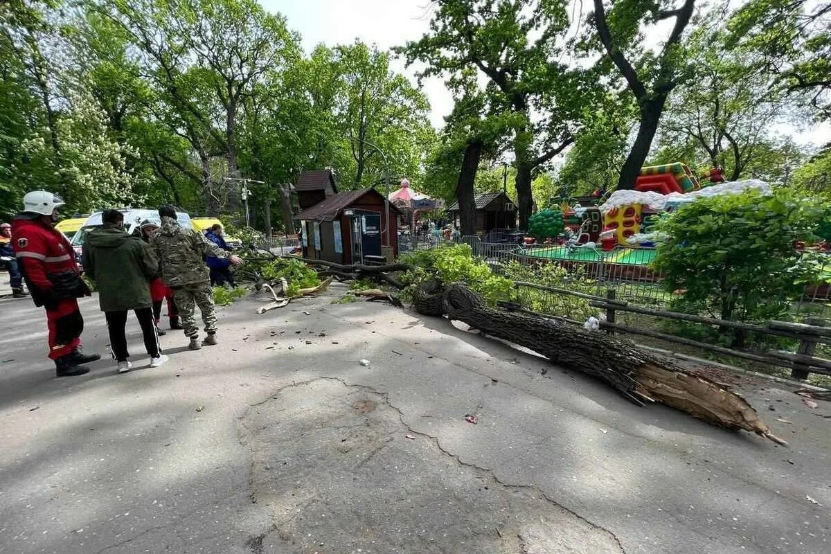 В гор парке упало дерево Саратов 2023 горпарке. 9 Мая Саратов 2023 гор парк. 9 Мая в Саратове в горпарке упало дерево. Горпарк Саратов.