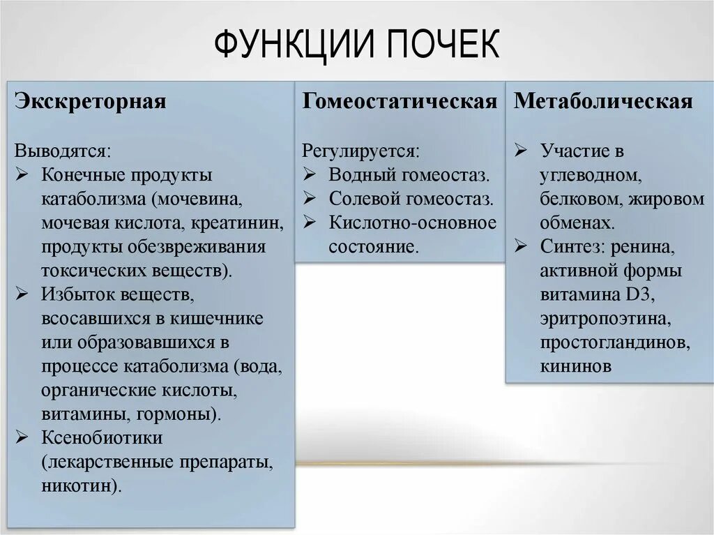 Какую функцию выполняют почки у человека. Выписать функции почек. Назовите функции почек. Функции почки не основные. 1. Перечислить функции почек..