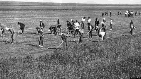 Кеудесі салбыраған жас қыздарға арналған кастингтер