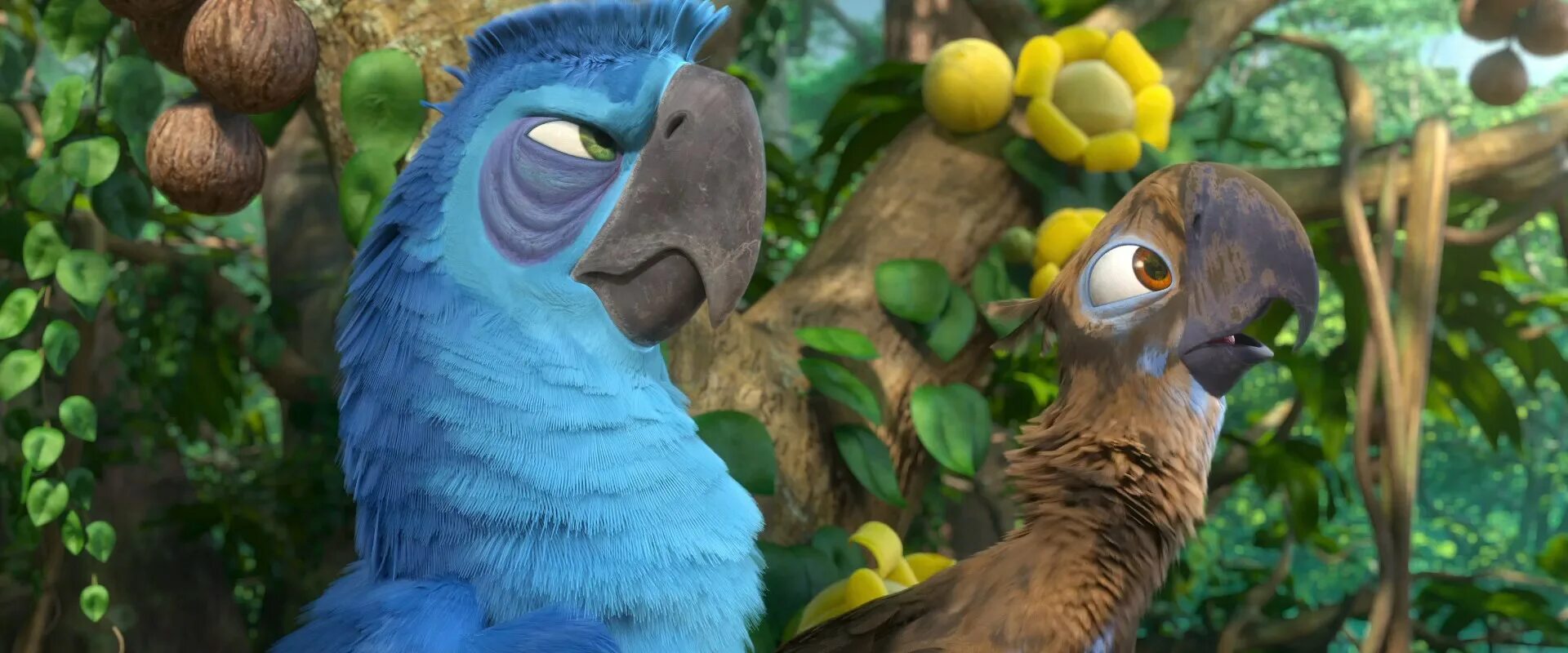 Тьяго Рио 2. Рио 2 [Rio 2] (2014). Какаду Найджел Рио. Рио 2 1080.