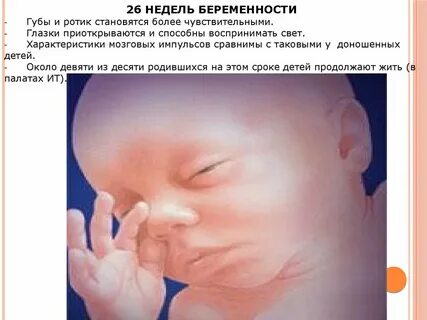 Первая беременность в 26