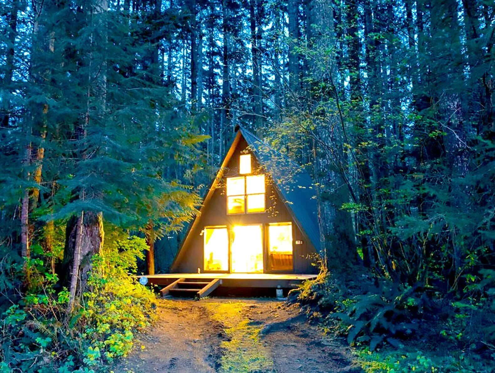 Сон дом в лесу летом